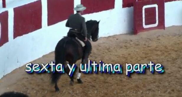 074 Villanueva de Alcardete, como bailan los caballos 6.JPG